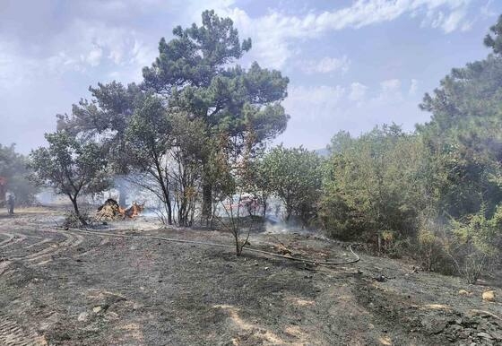 Στιγμιότυπο από το σημείο που ξέσπασε η φωτιά